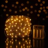 Fényhuzal 5m elemes meleg fehér 50 LED 8 fénymód kültéri/beltéri