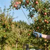 Acél teleszkópos (1m) permetező szár réz csatlakozókkal, állítható nyéllel 