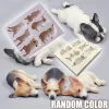 3D kutya szilikon forma tortadíszítéshez