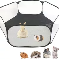 Rágcsálótartás