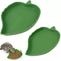 Hal- és Hüllőtartás