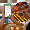 Intelligens vezeték nélküli hús hőmérő vezeték nélküli kapcsolattal - Akár 99,97 méteres hatótávolság, USB-ről tölthető, fém szonda BBQ-hez és sütőhöz Műanyag